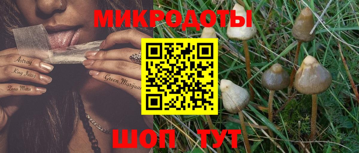 купить наркотики сайты  Вход с VPN  Видное  Псилоцибиновые грибы прущие грибы  Галлюциногенные грибы ЛСД 